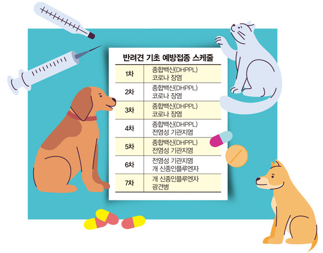 dog-vaccine-cost-schedule-2026 1