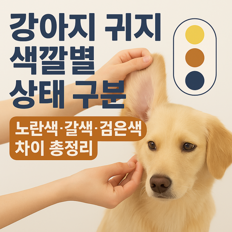 pet-er-night-cost-2026 1