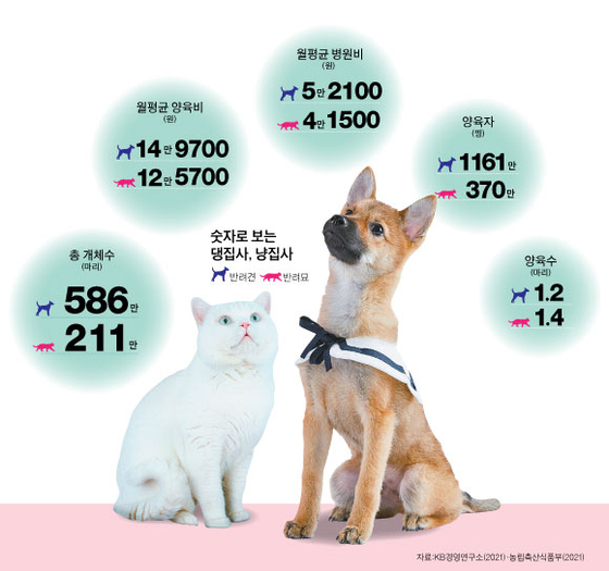 pet-insurance-waiting-period 2