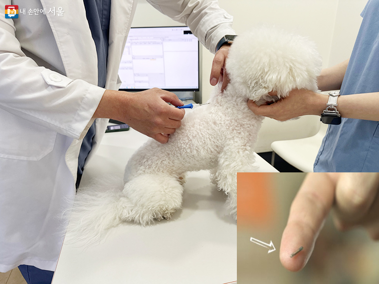 pet-registration-chip-2026