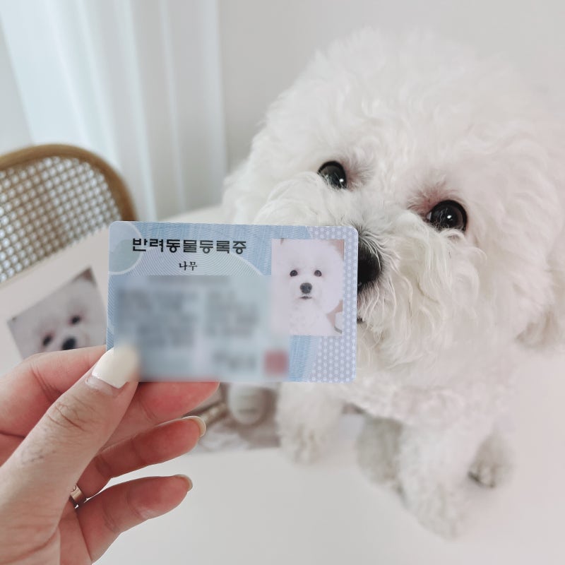 pet-registration-chip-2026 3