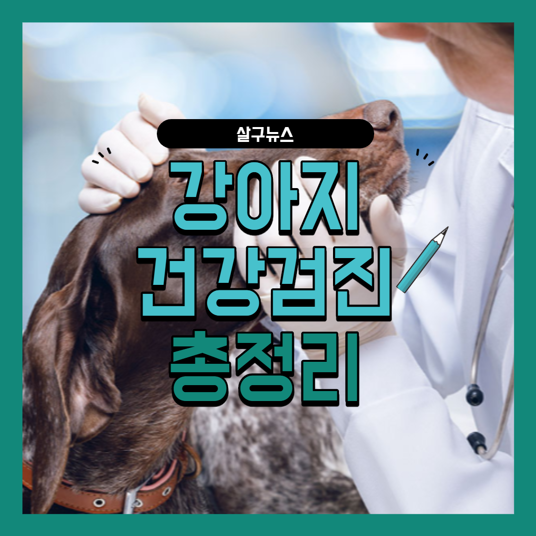 강아지 첫병원, 당일에는 보통 어떤 순서로 진행될까