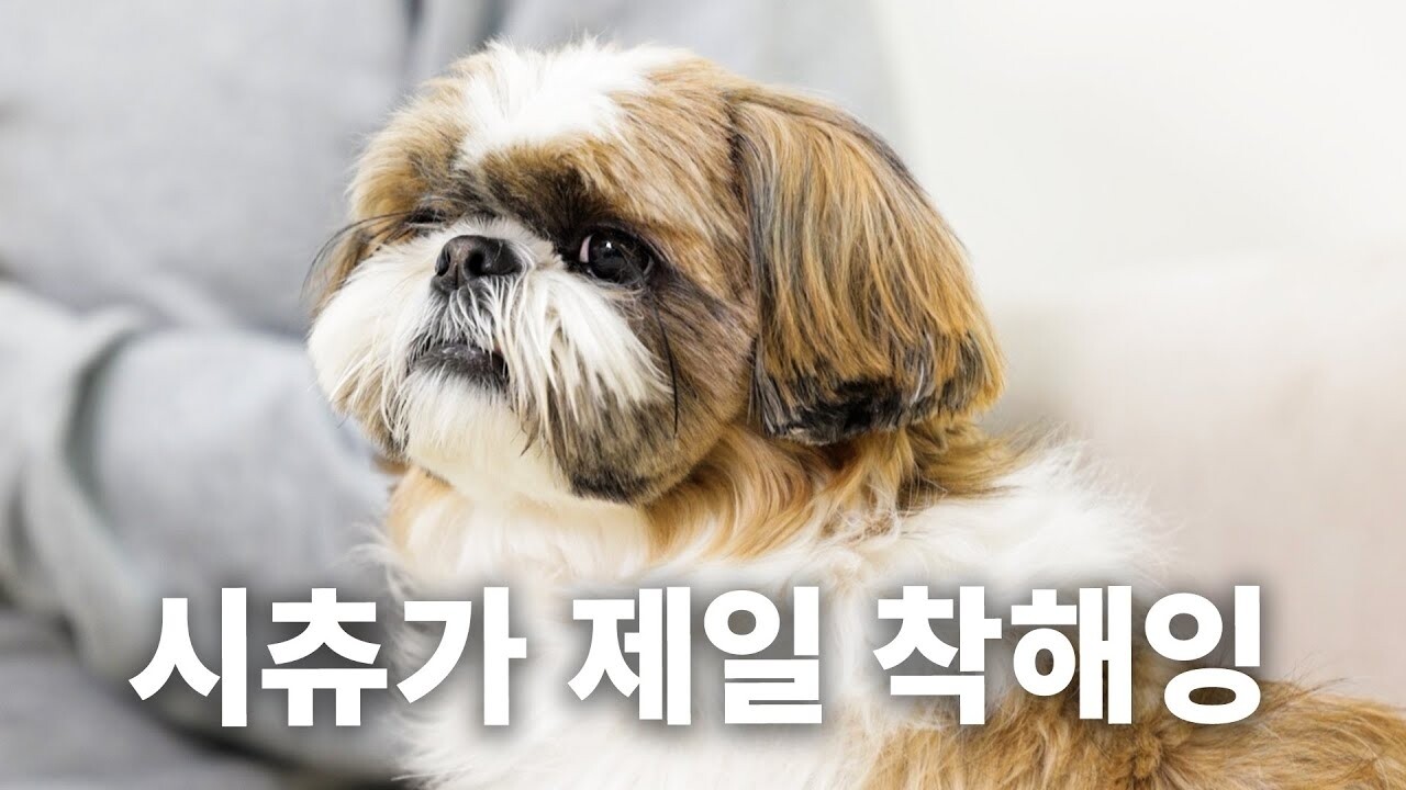 항목별 비용, 패키지 광고와 어떻게 맞춰 볼까