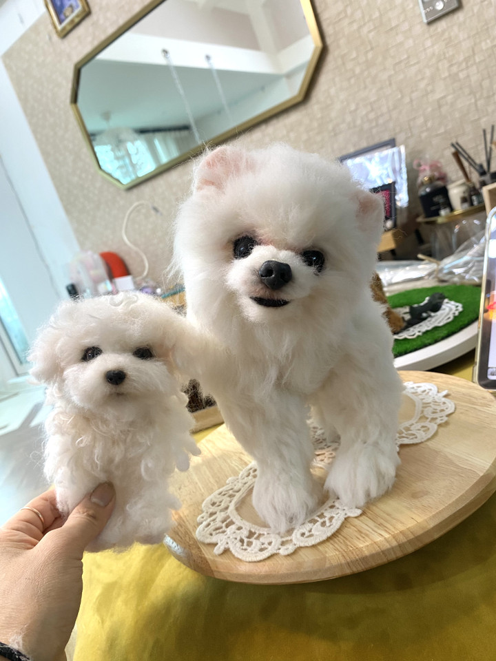 senior-dog-pet-insurance-age-limit 4