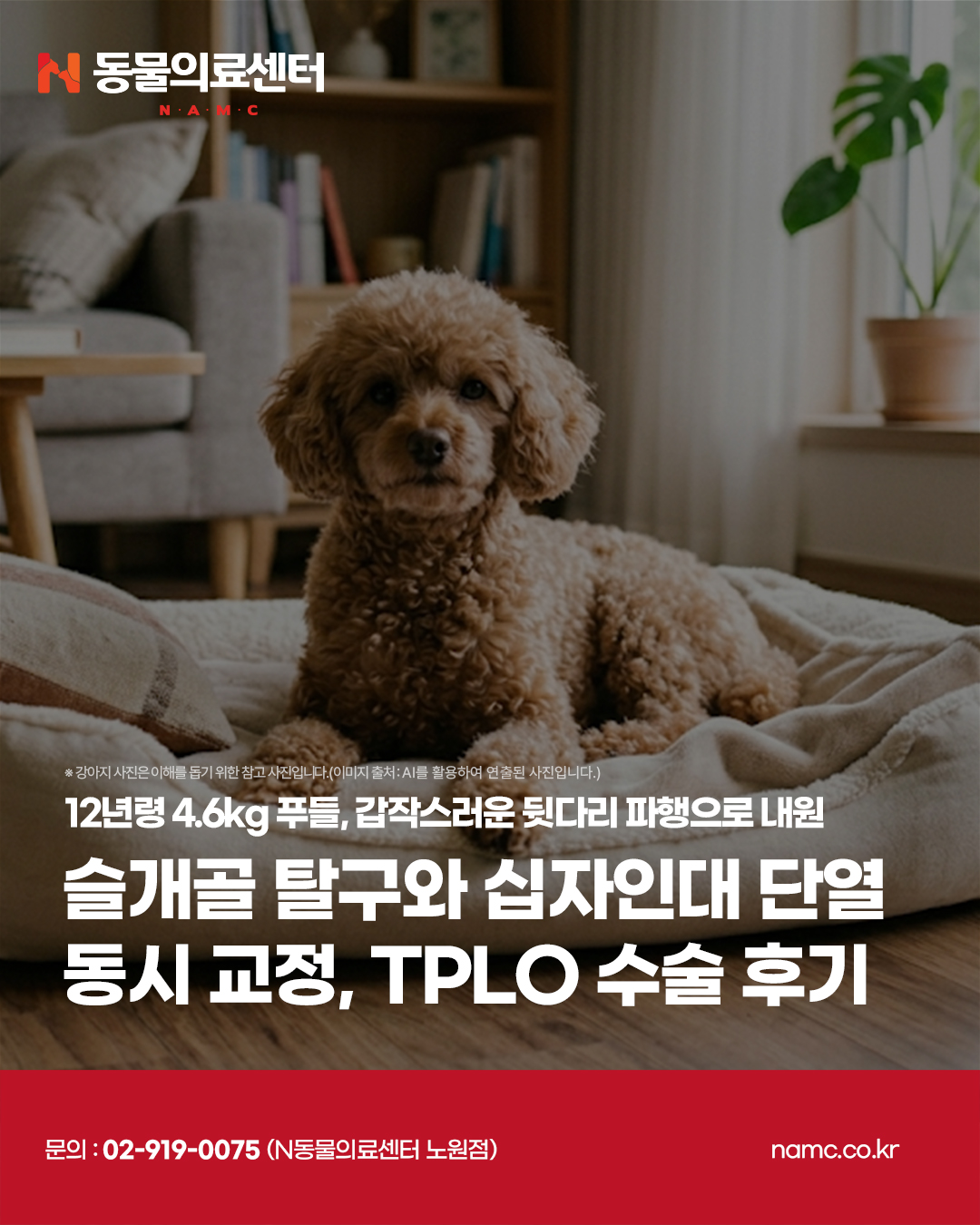 senior-pet-bloodwork-2026 2